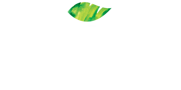 alpro-logo