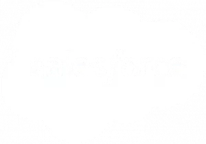 salesforce-logo-banner-300x211.png